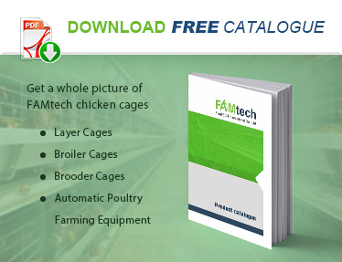 chicken cage product catalogue
