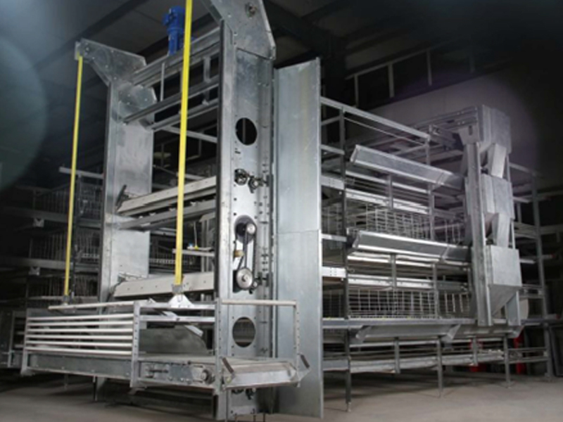 advanced h type broiler chicken cage design