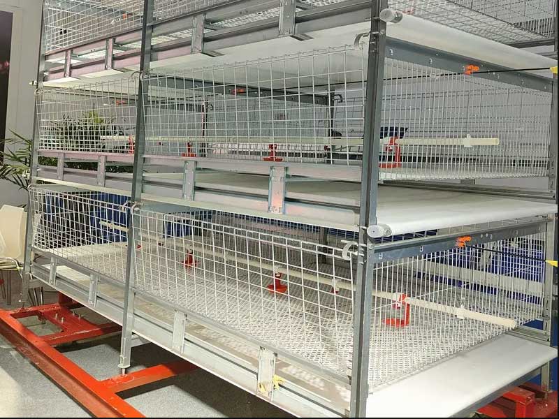 H type single side feeding broiler cage