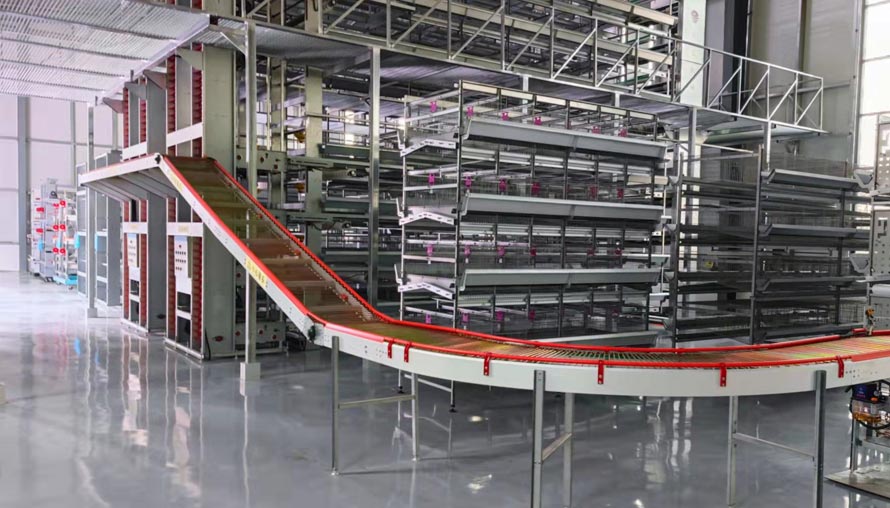 Egg Collecting Machine Automatic Chicken Egg Collector