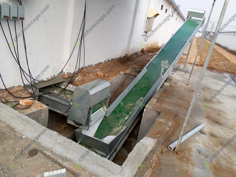 manure removal system for chicken farming
