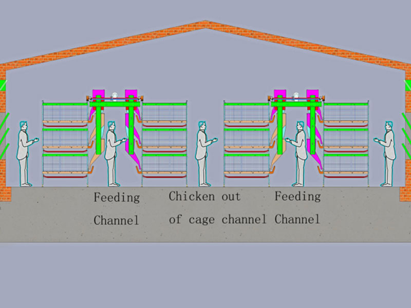 single side feeding H type broiler cage